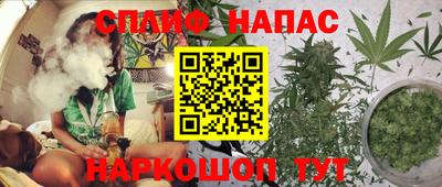 PSILOCYBIN Кулебаки