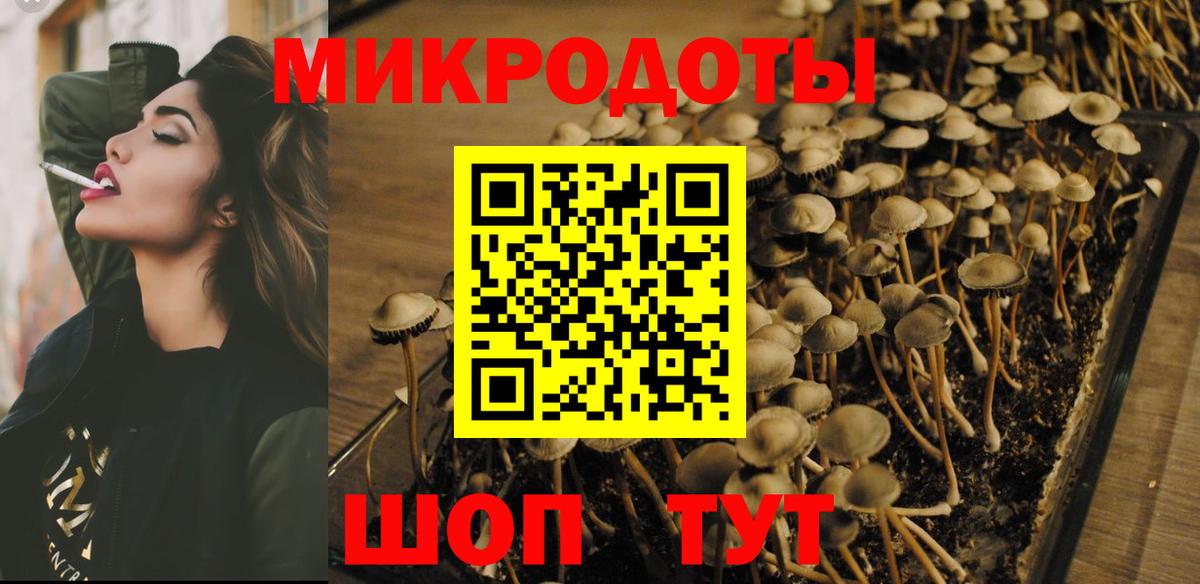 Псилоцибиновые грибы Magic Shrooms Заводоуковск