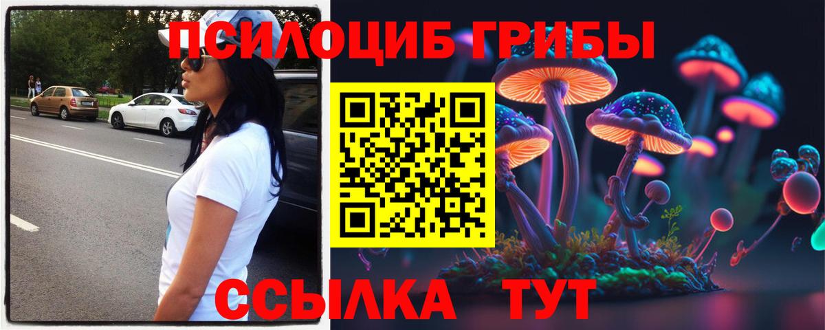 Галлюциногенные грибы прущие грибы  Вход с VPN  Галлюциногенные грибы мухоморы  Заводоуковск 